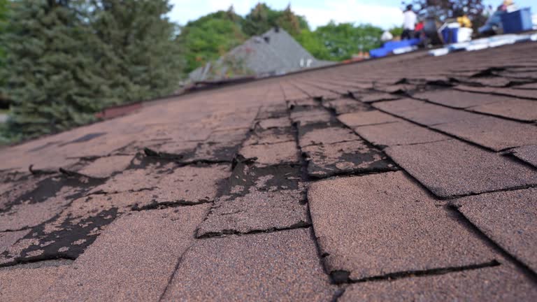 Best Chimney Flashing Repair  in Mohave Valley, AZ