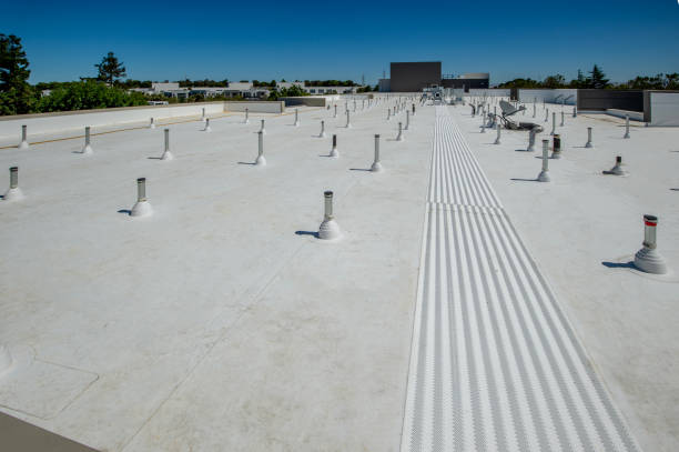 Best Emergency Roof Repair Services  in Mohave Valley, AZ
